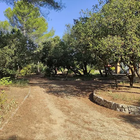 Dervonnae, La Provence A L'ombre Des Chenes * Tavernes
