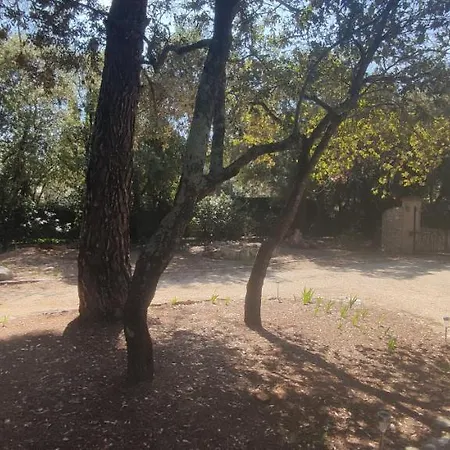 Dervonnae, La Provence A L'ombre Des Chenes Apartment Tavernes