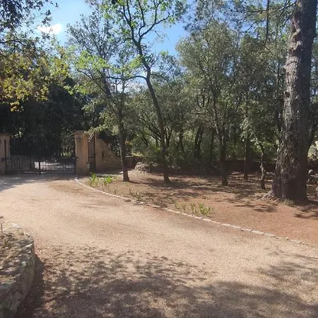 Dervonnae, La Provence A L'ombre Des Chenes Apartment